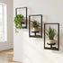 bbteroiu Set 3, Picture Frame Wall Planters of Modern Metal Hanging Shelves for Plants, Rustproof Wall Mount Flower Pot