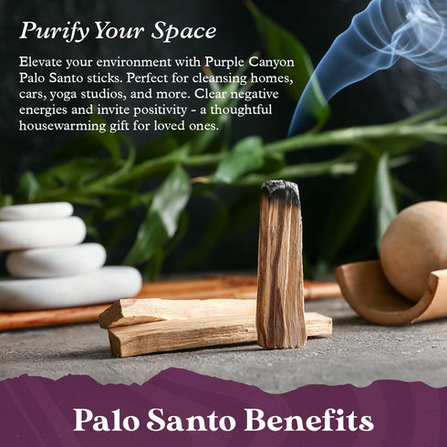 Purple Canyon Palo Santo Incense Sticks - 8 Pack, Sustainably Harvested Natural Incense for Smudging, Meditation,