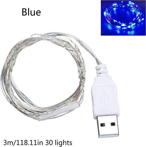 Fidt 9ft 30 LED USB String Lights - Silver Wire Fairy Lights for Wedding, Party, Christmas & Festival Decorations
