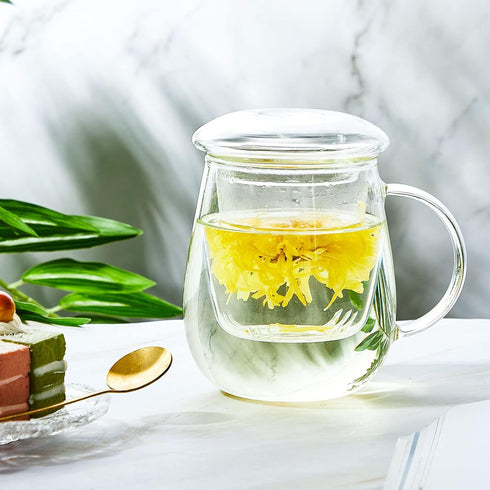 4 Set 16.9 oz, Tioncy Glass Tea Cup with Infuser and Lid, Glass Tea Mugs for Loose Leaf Brewing, Infuser Mug