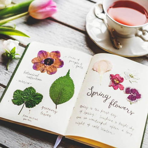 Nuanchu 223 Pcs Real Dried Pressed Flowers for Crafts, Natural Dried Leaves and Butterfly Stickers Set for DIY Resin