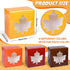 AnyDesign 24Pcs Fall Treat Boxes 4 Colors Cardboard Box with Maple Leaf Shape Window Autumn Thanksgiving Paper Gift Container for Cookie Goodie Candy Party Favors