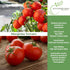 500+ Marglobe Tomato Seeds (Solanum lycopersicum) Non-GMO & Heirloom Seeds by Islas Garden Seeds, Classic Red Variety
