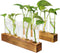 Renmxj Plant Propagation Station, Plant Terrarium with Wooden Stand for Hydroponics Plants