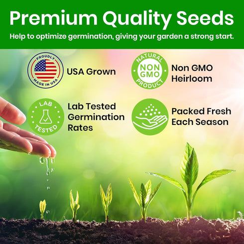 4 NatureZ Edge Lettuce Seeds for Planting, Popular Varieties Non-GMO Heirloom Seeds, Red Romaine, Bibb Butter, Black
