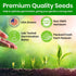 4 NatureZ Edge Lettuce Seeds for Planting, Popular Varieties Non-GMO Heirloom Seeds, Red Romaine, Bibb Butter, Black