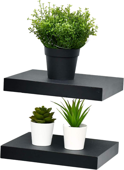 WELLAND Set of 2 Floating Shelves Wall Mounted Shelf, for Home Decor