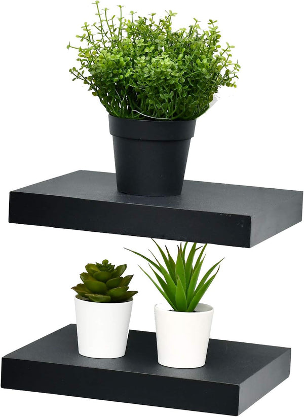 WELLAND Set of 2 Floating Shelves Wall Mounted Shelf, for Home Decor