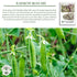 40+ Packet, Rainbow Bean Mix Sprouting Seeds, Adzuki, Garbanzo, Green Pea, & Lentil, Heirloom Seeds in Mixture Per Non