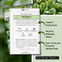Packet (1) Sow Right Seeds - Bloomsdale Spinach Seeds for Planting - Non-GMO Heirloom with Instructions to Plant