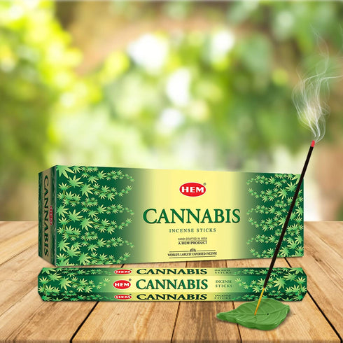 Hem Cannabis Incense Sticks - 120 Sticks, 6 Boxes, 9 Inches Long, 20g per Box - Perfect for Meditation
