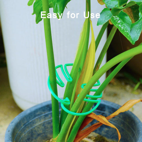 6PCS Plant Stem Supports for Indoor Plants, Reusable Monstera Plant Support, Plant Propagation Buddy, Sturdy Houseplant