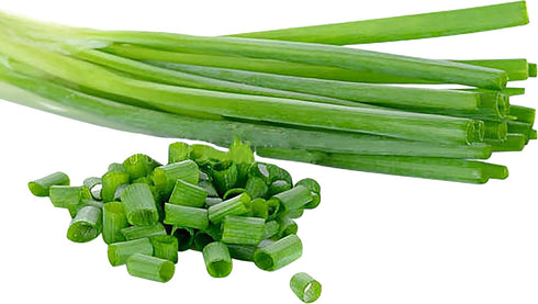 1600 Delicious Salad Green Onion Scallions Seeds - Easy to Grow - Seeds