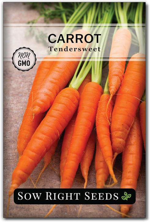 Sow Right Seeds - Tendersweet Carrot Seeds for Planting - Non-GMO Heirloom