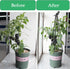 47" Indoor-2 Pack Garden Trellis, Plant Trellis for Potted Plants Flowers Vegetables and Vines,Tomato Cage Tower,Garden