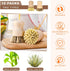 12 Pcs Bamboo Dish Brush, Wooden Scrubber Sisal Bristle Kitchen Wood Brushes for Cleaning Mini Dish Scrubber for Food