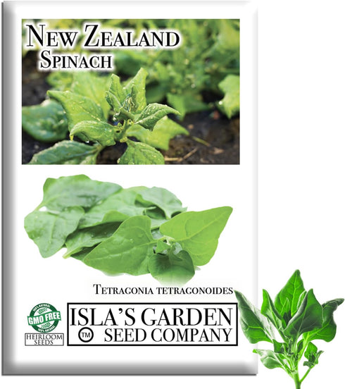 New Zealand Spinach Seeds for Planting, 100+ Heirloom Seeds Per Packet, (Isla's