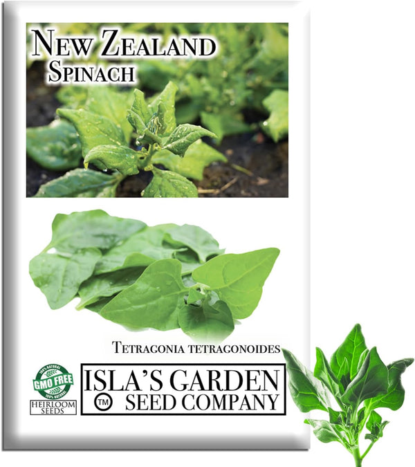 New Zealand Spinach Seeds for Planting, 100+ Heirloom Seeds Per Packet, (Isla's
