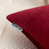 HWY 50 Burgundy Red Velvet Throw Pillow Covers, 20x20 Inch, Pack of 2 Soft Cozy Decorative Cushion Cases