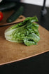Dexas Natural Fiber Composite Cutting Board, 11.5" x 9" Dishwasher Safe
