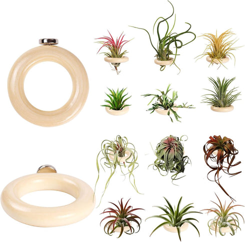 LNBNIEW 12 Pack Air Plant Holder Magnet Wooden Air Plant Display Stand Small