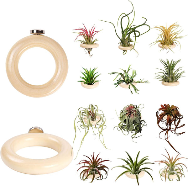 LNBNIEW 12 Pack Air Plant Holder Magnet Wooden Air Plant Display Stand Small