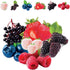 Mulberry. 100 Packaged Fruit Garden Seeds Kit for Growing - Elderberry, Blueberry, Red Strawberry, White Strawberry