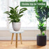 Wood Plant Stand, Modern Small Flower Pot Holder, Decorative Planter Stand for Indoor Plants