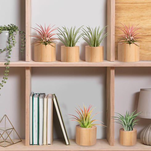 6 1.2" 1.4" Bigmeta Pcs Wood Air Plant Holder - & Rustic Style Airplant Display Stands for Women Gifts