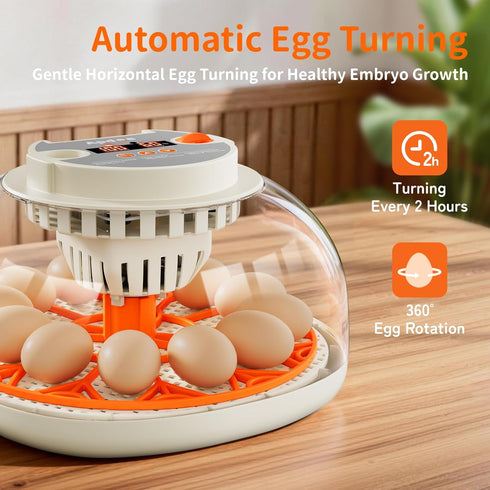12 Egg Incubators for Hatching Eggs, Temperature and Humidity Control, Automatic Egg Turning, Egg Candler, External
