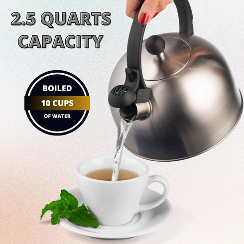 2.5 Liter Whistling Tea Kettle, Modern Stainless Steel Whistling Tea Pot for Stovetop with Cool Grip Handle