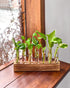 7 KAXYEW Plant Terrarium with Wooden Stand, Plant Propagation Tubes, Test Tubes Glass Planter for Hydroponic Plant