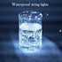 Twinkle Fairy Lights Battery Powered 20 LED on 7.2feet Silvery Copper Wire for DIY Wedding Party Decor (Cool White)