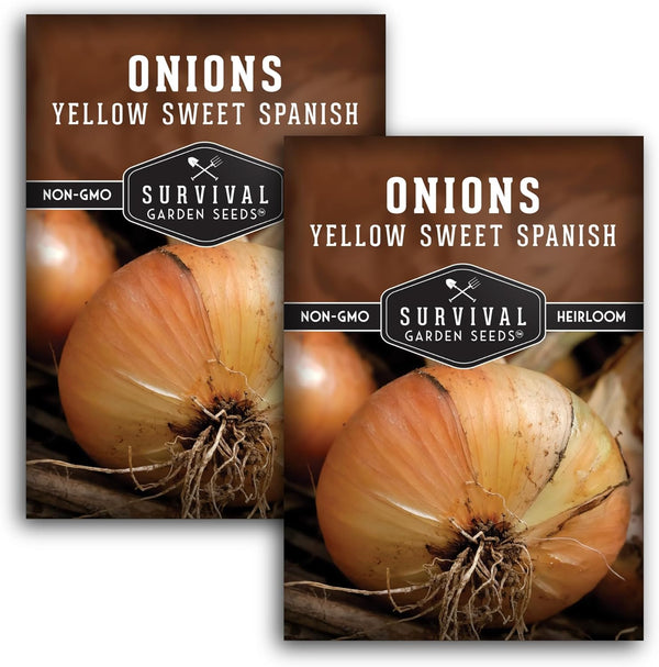 Yellow Sweet Spanish Onion Seeds for Planting Large Mild Long Day Yellow