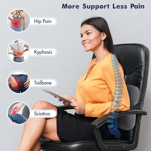 Lumbar Support Pillow for Office Chair, Memory Foam Back Cushion with 3D Mesh Cover for Lower Back Pain Relief