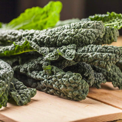 94% Gaea's Blessing Seeds - Lacinato Kale Seeds - Non-GMO Seeds with Easy to Follow Planting Instructions - Open