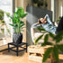 2 Lilybud--lily Plant Stand Indoor Outdoor, Pcs Heavy Duty Plant Stands Metal Pedestal Stand for Indoor Outdoor
