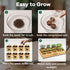 Indoor Herb Garden Start Kit - Unique Gifts for Women, Mothers Day Gifts, Easy House Plant- Birthday for Women,House