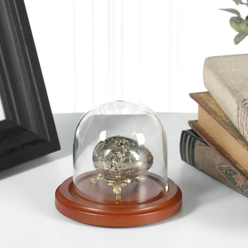 Plymor 3" x 3" Glass Display Dome Cloche with Walnut Base