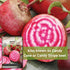 Packet (3) Sow Right Seeds - Chioggia Beet Seeds for Planting - Non-GMO Heirloom with Instructions to Plant & Grow an