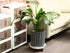 6 Packs 11.8 inches Large Plant Caddy Plant Saucers on Wheels Rolling Plant Stands Heavy-Duty Plant Dolly Plastic