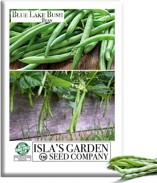 Blue Lake Bush Green Bean Seeds, 50+ Heirloom Seeds Per Packet, Non