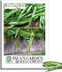 Blue Lake Bush Green Bean Seeds, 50+ Heirloom Seeds Per Packet, Non