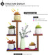 Wood Desktop Plant Stand, Indoor Small Windowsill Flower Shelf for Succulent Herb Display Rack in Living Room Office