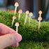 Mumutie 8-Pack Handmade Clay Mushrooms - Mini Fake Mushrooms for DIY Miniature Landscapes & Fairy Gardens - Desktop