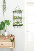 3 Mkono Tiered Wall Hanging Plant Terrarium with Wooden Stand Mini Test Tube Flower Vase Glass Planter for Hydroponic