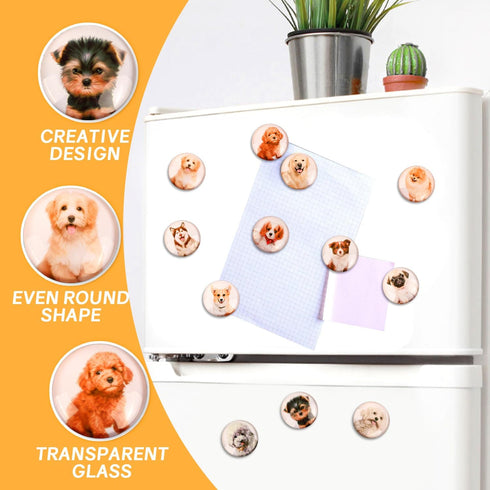 Glass Strong Animals Refrigerator Magnets,12 Pcs Decorative Magnets for Fridge Lovely Decor for Home Kitchen Office Whiteboard (Dog Refrigerator Magnet) by Raeasily