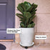 Rolling Plant Caddy with Wheels - White Flower Pot Dolly