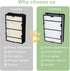 HAPF600D Filter Compatible with Holmes True HEPA Filter B, Replace HAPF600 HAP615 HAP625 HAP650 HAP675RC HAP725 HAP750
