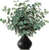 TOPHOUSE 6pcs Artificial Eucalyptus Leaves Stems Bulk - 24.8” Silver Dollar Eucalyptus Artificial Greenery Silk Plant